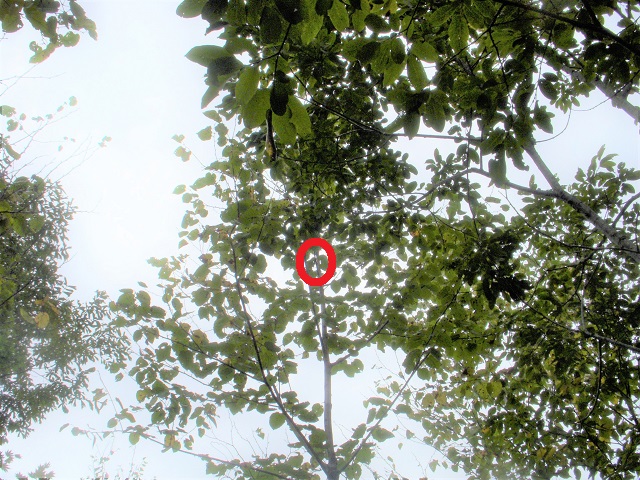 �q���I�I��