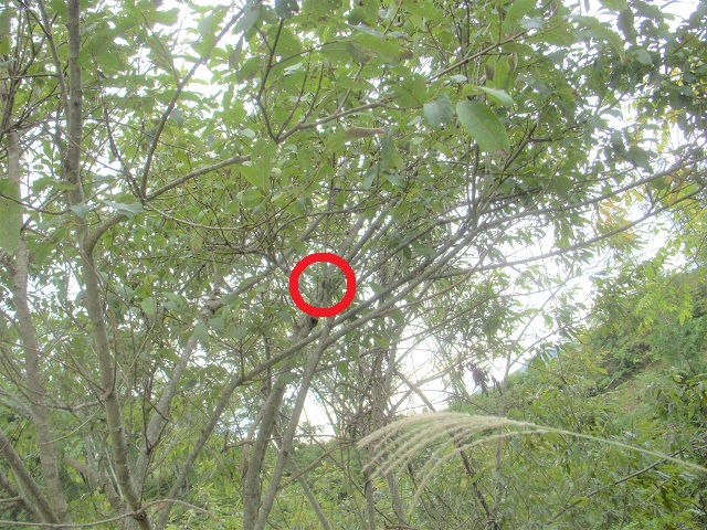 �q���I�I��