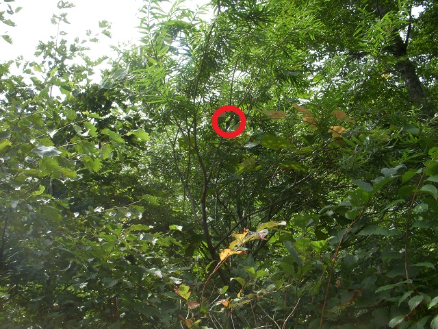 �q���I�I��