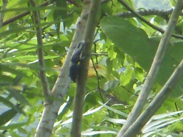 �q���I�I��