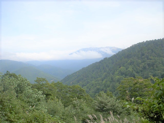 �C�����C�C^^