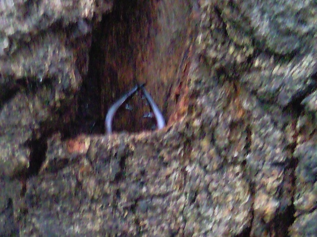 �m�R�M����