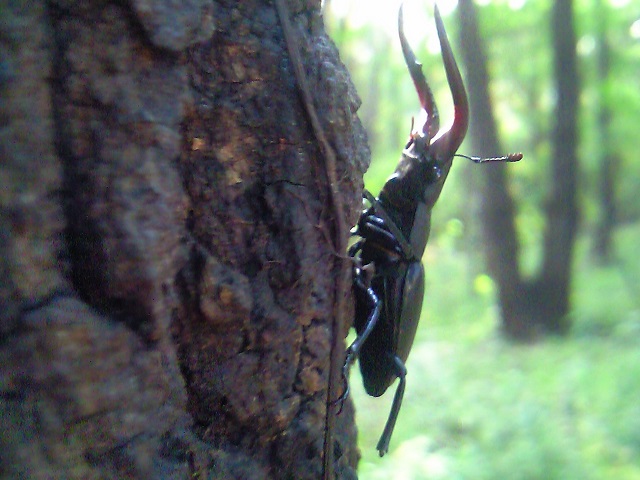 �m�R�M����