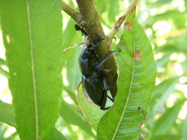 �q���I�I��