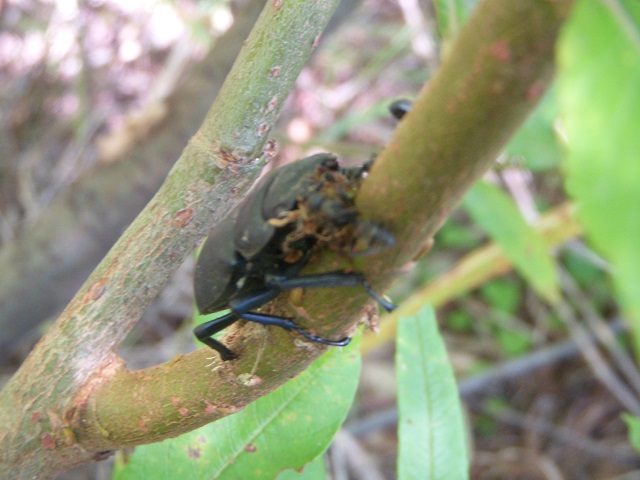 �q���I�I��