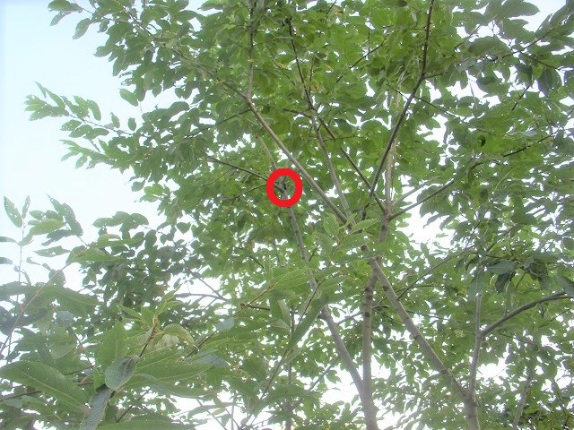 �q���I�I��