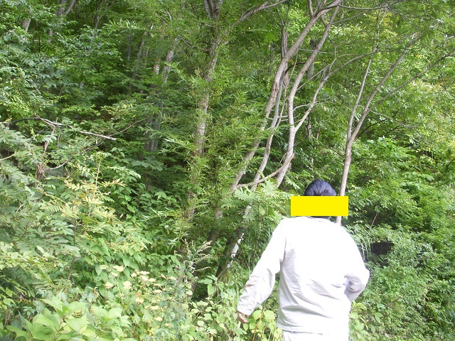 �q���I�I��T����������