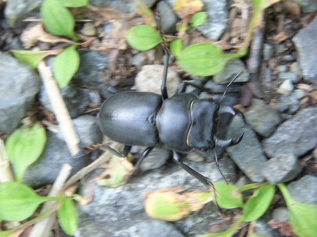 �q���I�I��