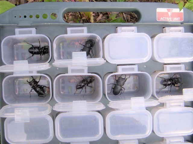 �q���I�I4��2��