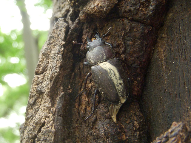 �m�R�M����