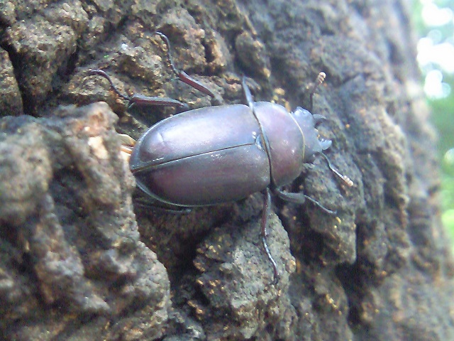 �m�R�M����