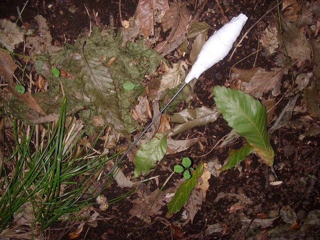 �q�b�J�L�_