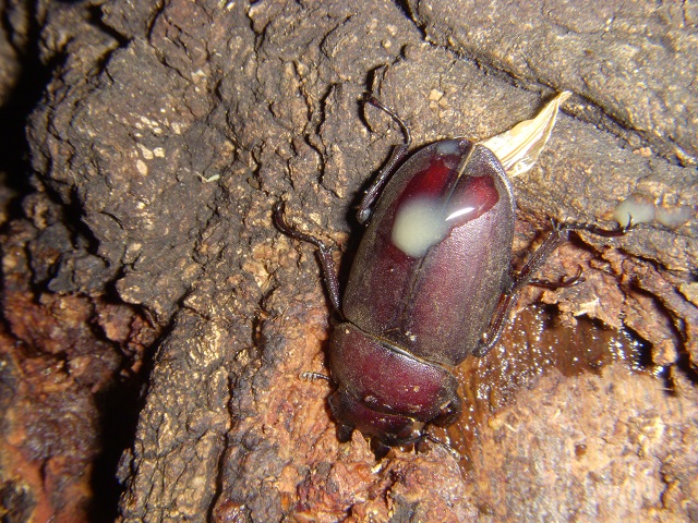 �m�R�M����