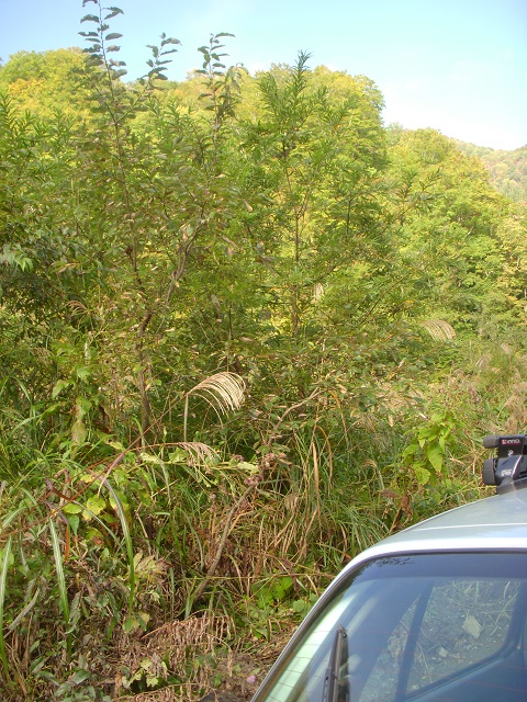 ���Ȃ��˂��`