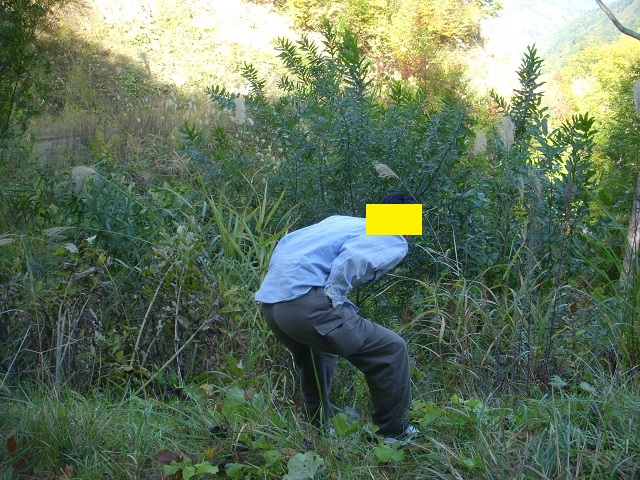 �W�{�C���HT����