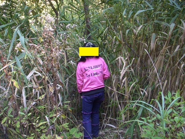 �g���n����