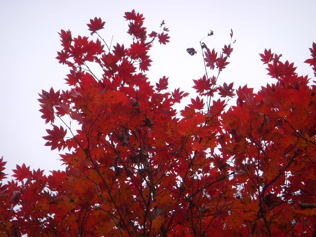 �^���Ԃ���