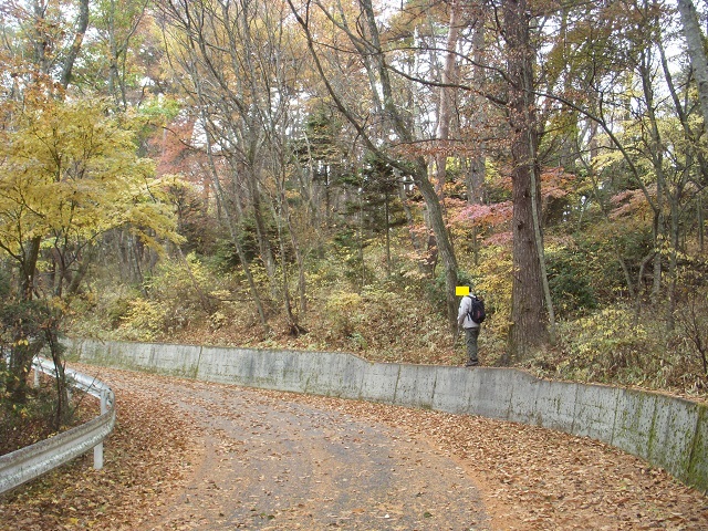 �������񂳂�