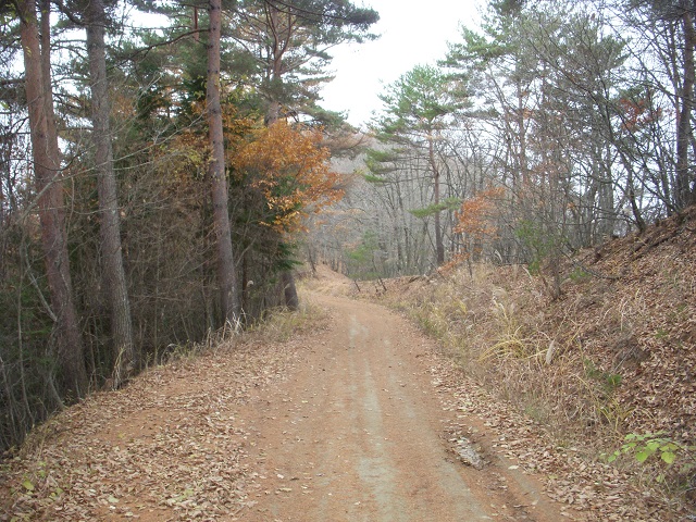 �ѓ�(�͕��n)