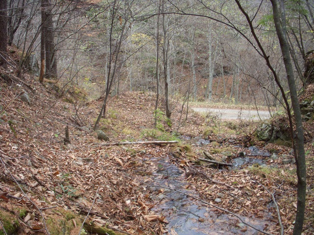 ���Ȃ��Ƃ����ɂƂ��Ă͊R