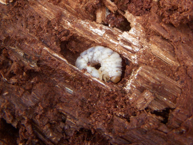 �c���n�_�c��