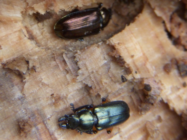 �����y�A