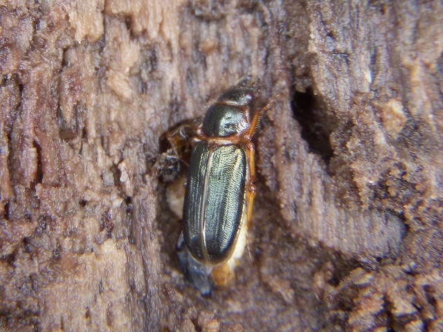 �������H���d����