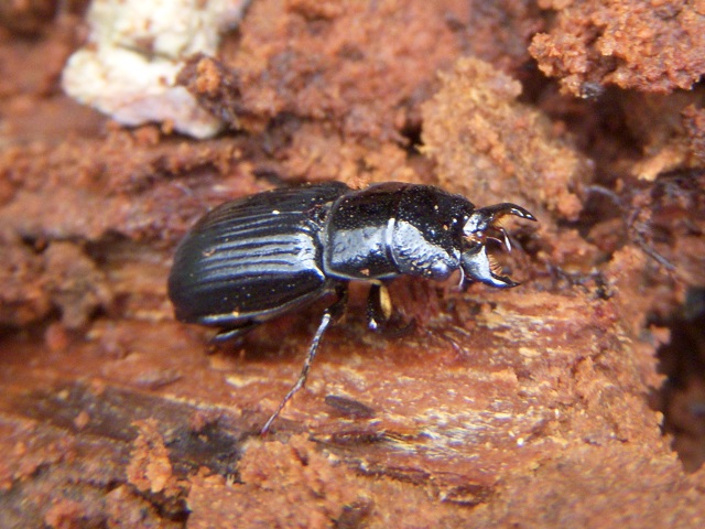 �c���n�_��