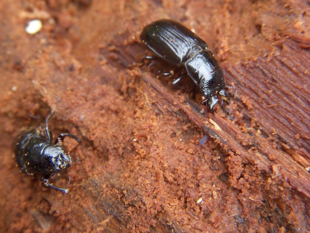 �c���n�_�y�A