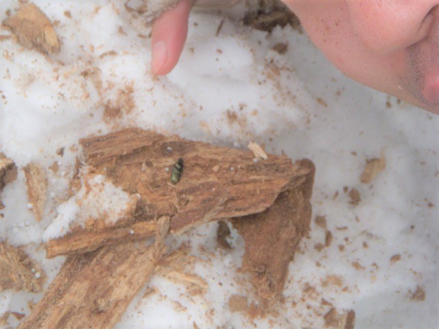 �Z�n������ƃ���1��