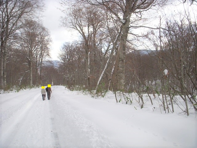 tos����ƘZ�n������