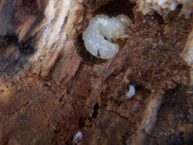 �c������2�E3��