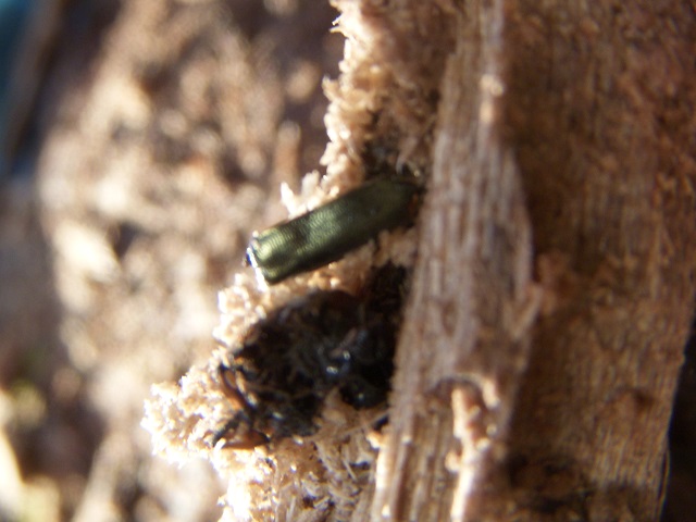 �������c�[