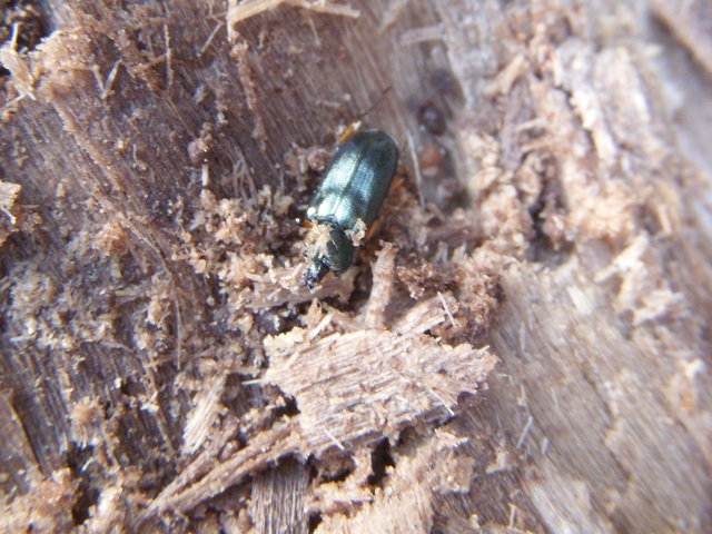 �������c�[