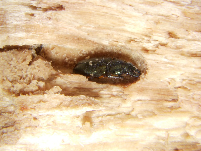 �z�\�c��������