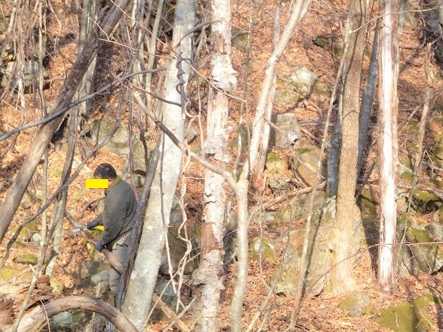 �W���j�[��������