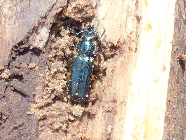 �z�\�c��������