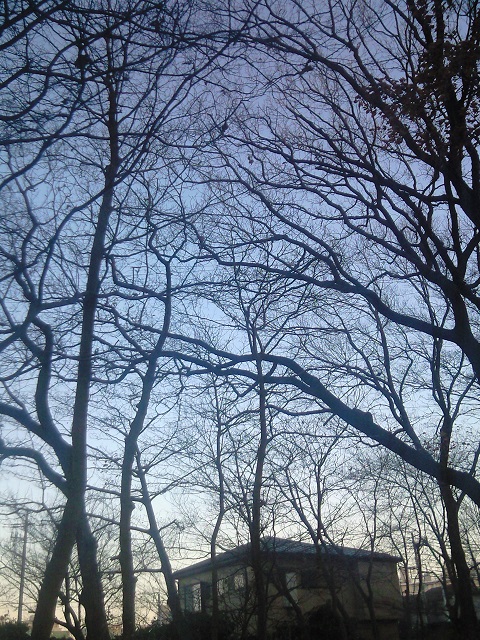 �������̖�