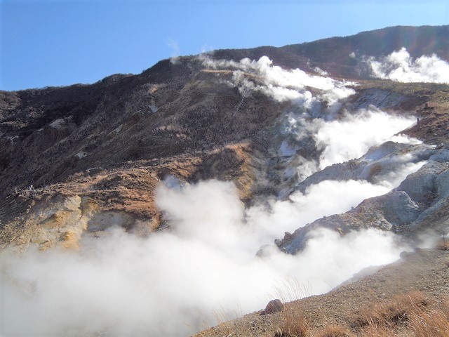 �����̃N�b�T�C�j�I�C