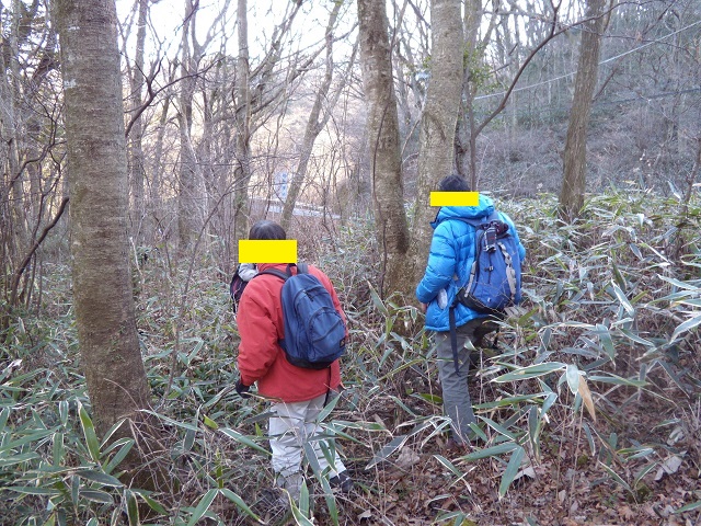 P.kawadai����(�E)�Ƃ���Ђ낵����