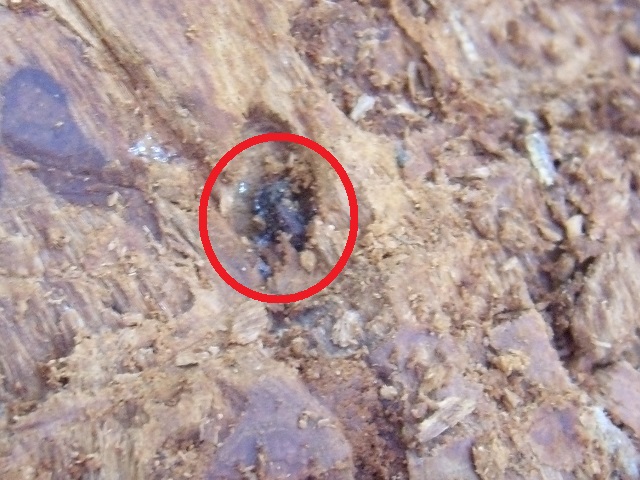 �}�_����