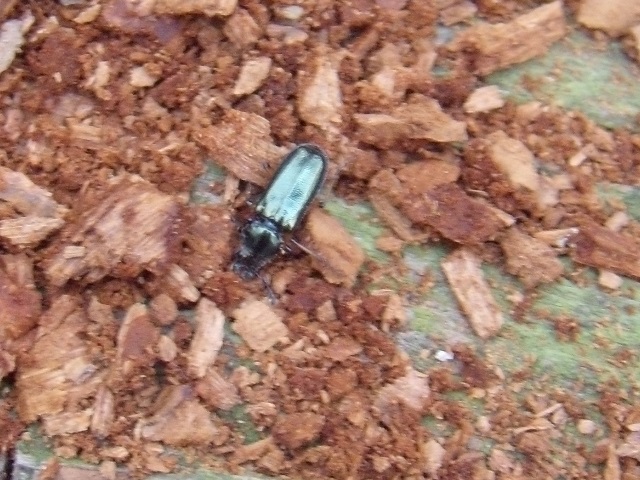 �z�\�c��������