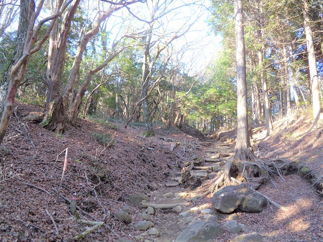 ���̕ӂ̓g�E�J�C�R�����E�}�_�����̂��