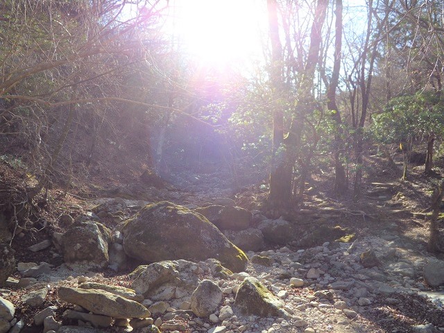 ��_�J����^^;