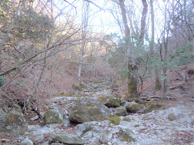 �A��̒�_�J����^^;