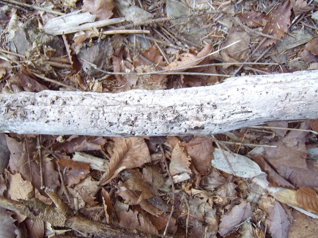 �J�`���J�`��