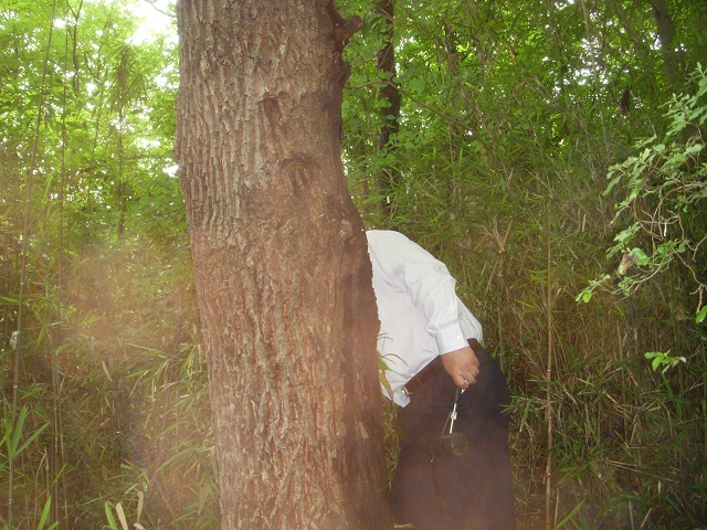 В