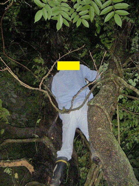 ���傤����񂳂�