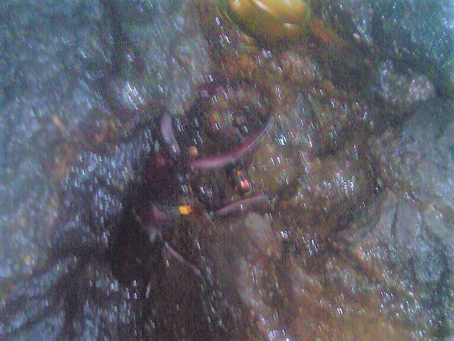 �m�R�M����