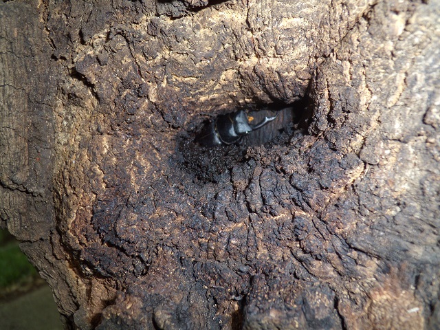 �R��39�~��